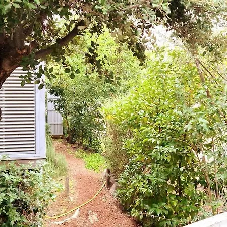 Petite Maison Bois Cosy Dans Un Ecrin De Verdure * بورتو فيكشْيو