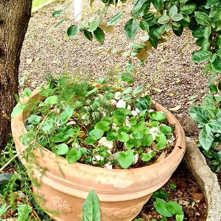 Petite Maison Bois Cosy Dans Un Ecrin De Verdure بيت للعطل *