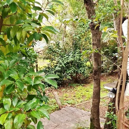 Petite Maison Bois Cosy Dans Un Ecrin De Verdure * بورتو فيكشْيو